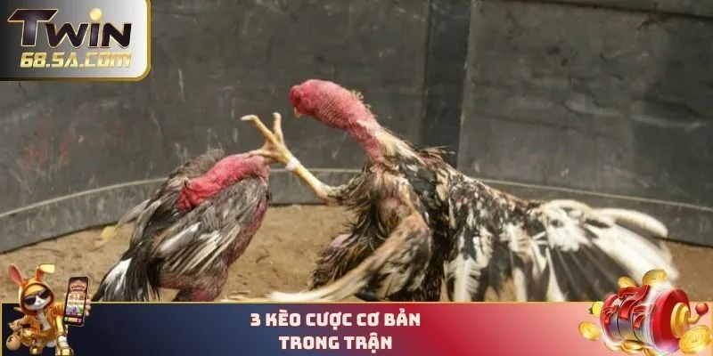 3 kèo cược cơ bản trong trận